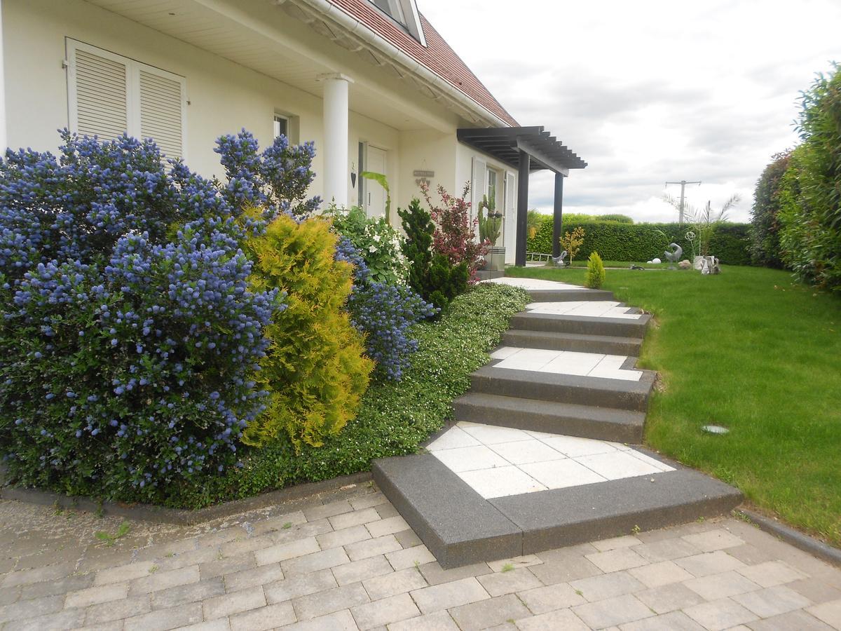 Au Coeur Du Vignoble Bed & Breakfast Orschwiller Exterior photo